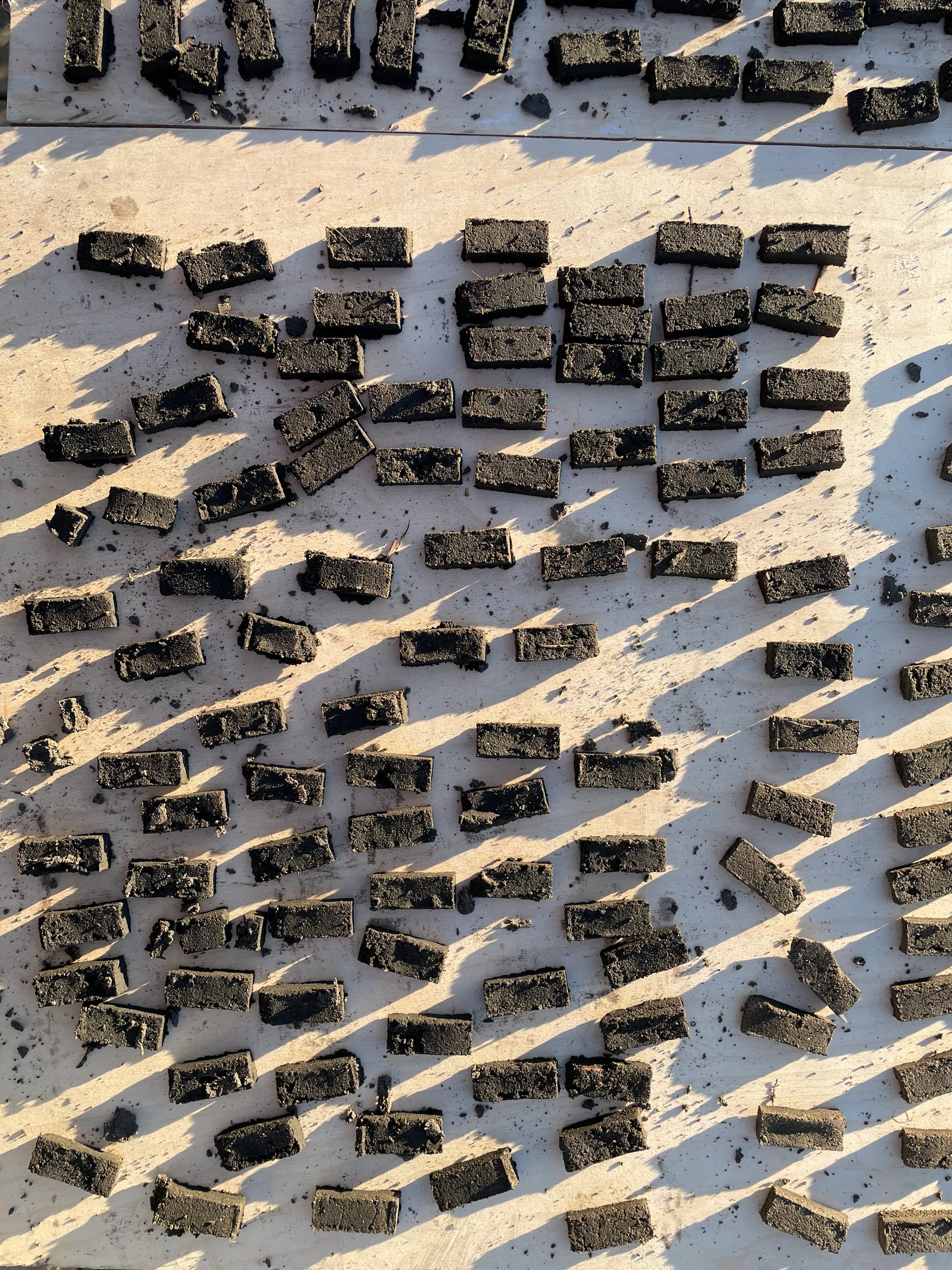 Bricks drying in the sun