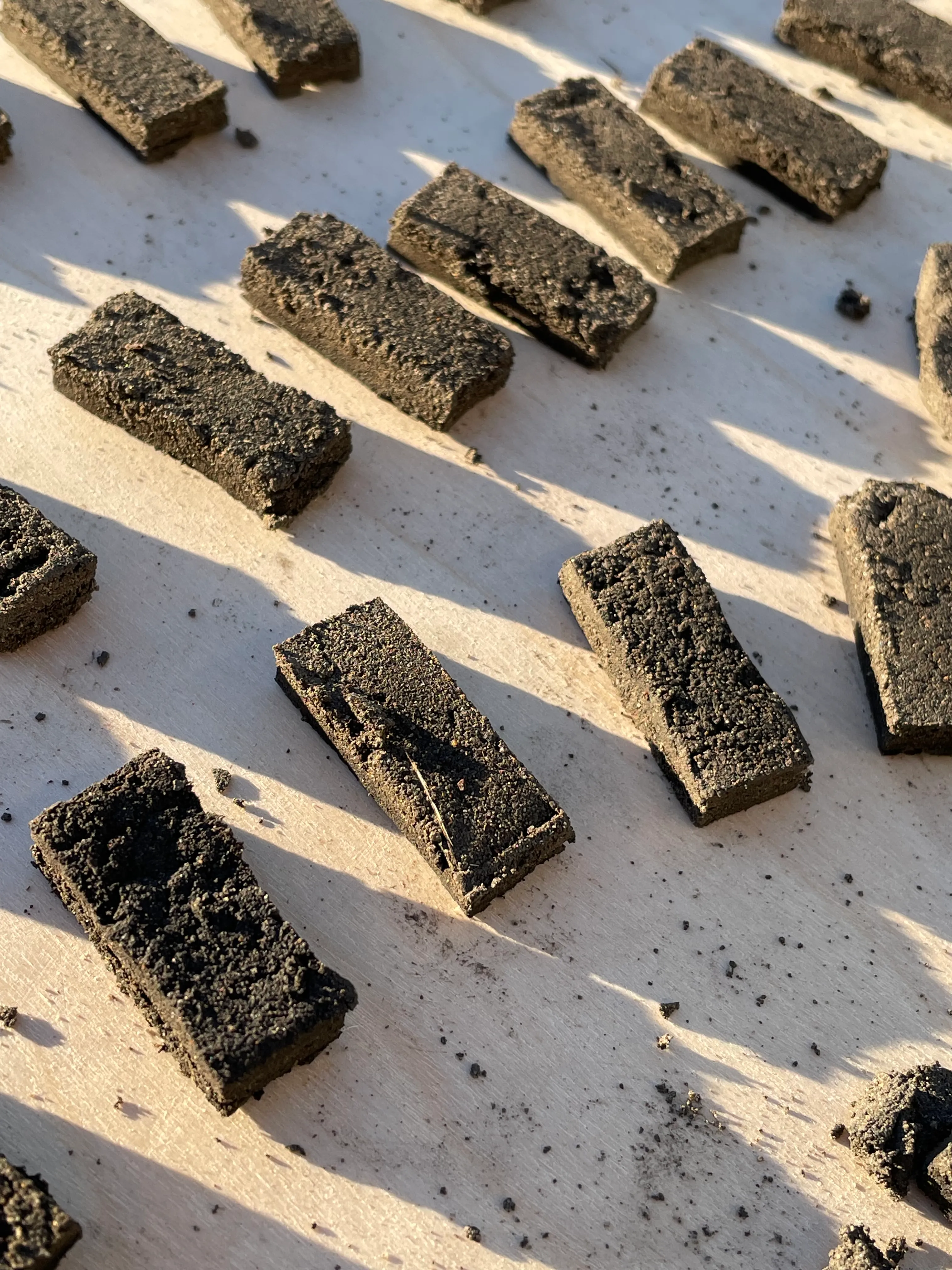 Bricks drying in the sun